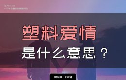 你们之间是塑料爱情吗？塑料爱情是什么样的？什么意思？